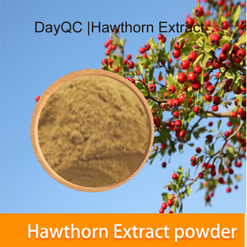 Hawthorn Extract hawthorn powder 10:1