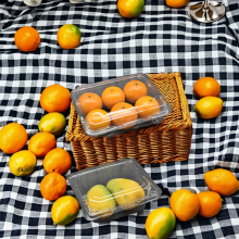 Food Grade Clear Plastic Clamshell Boxes for Fruits and Vegetables