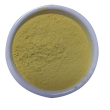 Natural Top Quality Coptis Chinensis Extract Powder