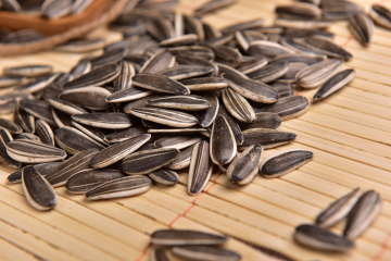 Cheap Sunflower Seeds Specification