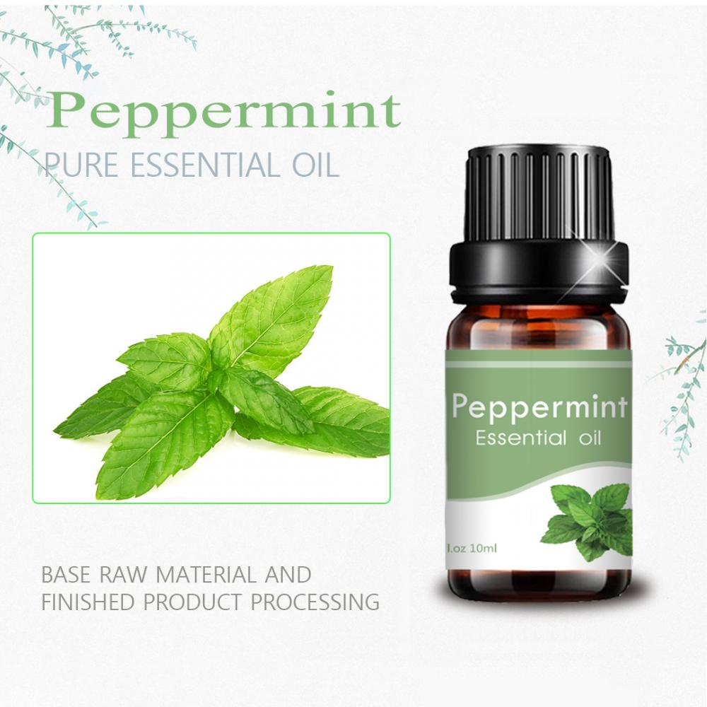 100% murni peppermint peppermint essential oil menenangkan