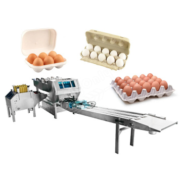 Automatic Egg Packing Machine - Small Egg Tray Pack Machine