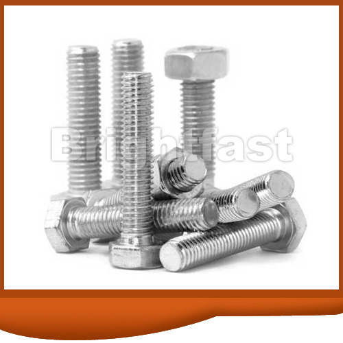 Metric Stainless Steel Bolts