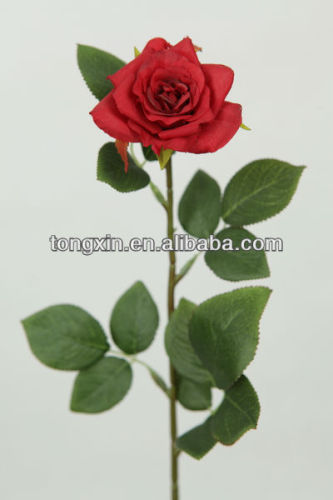 xmas edding flower field red roses tongxin factory