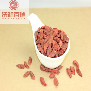 Wolfberry/Lycium Barbarum / High Quality goji berry