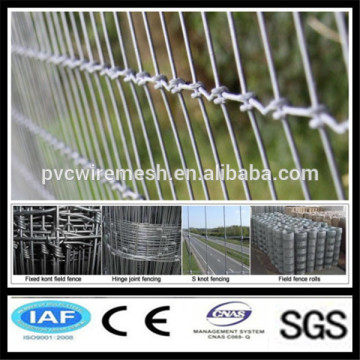 Anping hepeng wire fencing horses