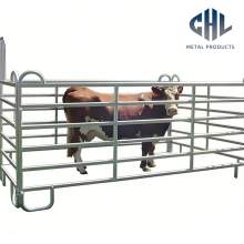 Pasture Cattle Containment Fence