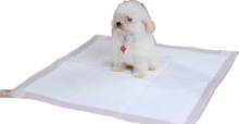 breathable training dog pad pet pad