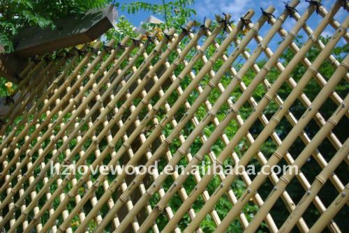 Trellis Fence