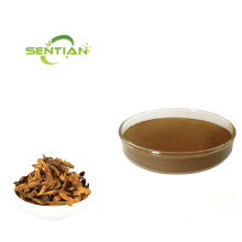 Coptis Chinensis Root Extract Sale