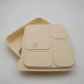 PLA pollution-free degradable food containers