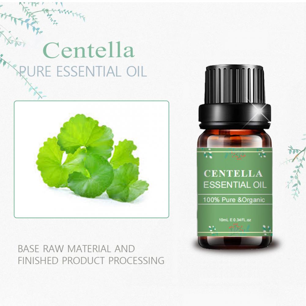 البيع الساخن Centella Centella استخراج زيت للتدليك