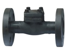 API602 Forged Check Valve