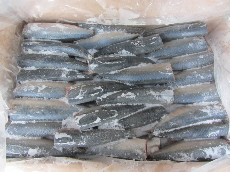 mackerel hgt