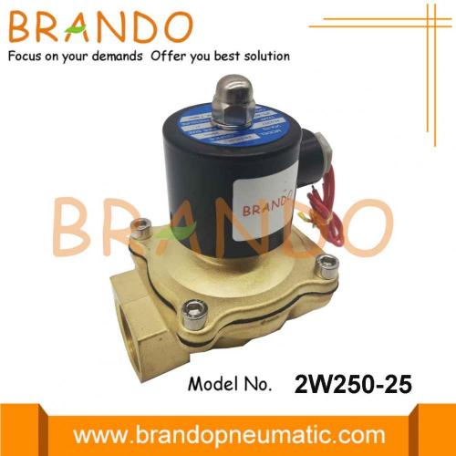 AC 220V 2W250-25 Watersolenoïde klep