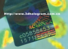 High Complicated Trademark Hologram (0011)