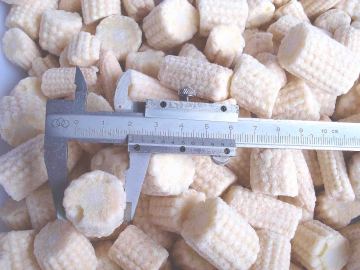 Chinese 2015 new crop IQF frozen baby sweet corn cuts