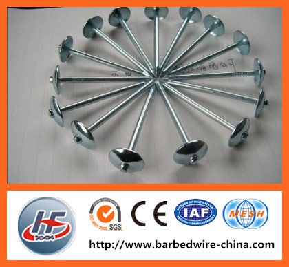 Best price and high quality roofing nails with umbrella head/metal roofing iron nail