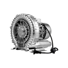 Fish and Shrimp Pond Aeration Systems: Ring Blowers and Vortex Air Blowers