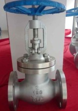 Ss Anis Flanged Globe Valve 150lb