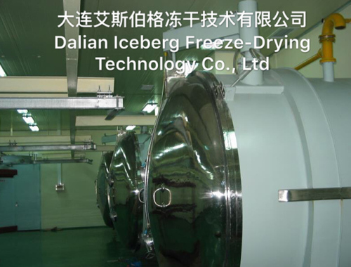 2X125 Freeze-drying Equipment Atlas Type