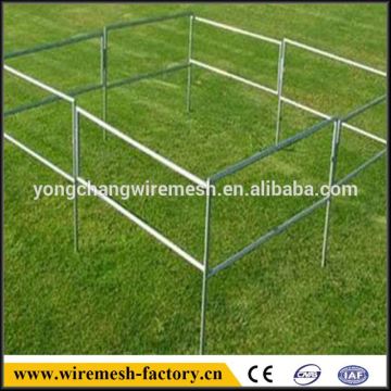 cattle panels yards panel for sale