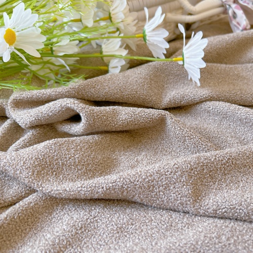 Warm Solid Color Ant Fleece Sofa Fabric