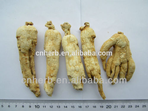 dried Ginseng root/Ren shen