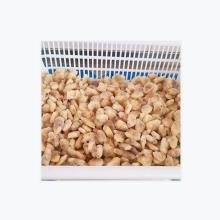 Frozen best quality clam meat healthy fresh best quality clam meat without shell