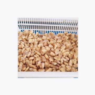 Frozen best quality clam meat healthy fresh best quality clam meat without shell