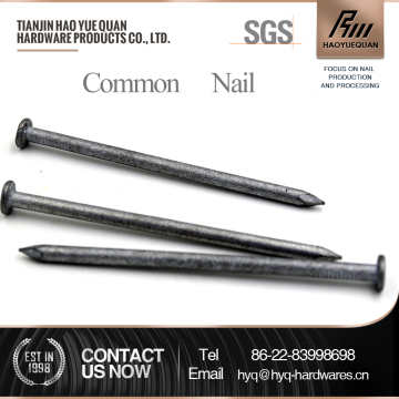 Produce high quality H.D.G or E.G. common nail, wire nail, iron nail