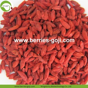 Menurunkan Berat Badan Nutrisi Alami Himalaya Goji Berry