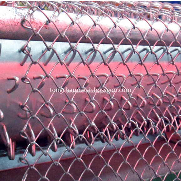 Galvanized Wire Chain Link Fencing