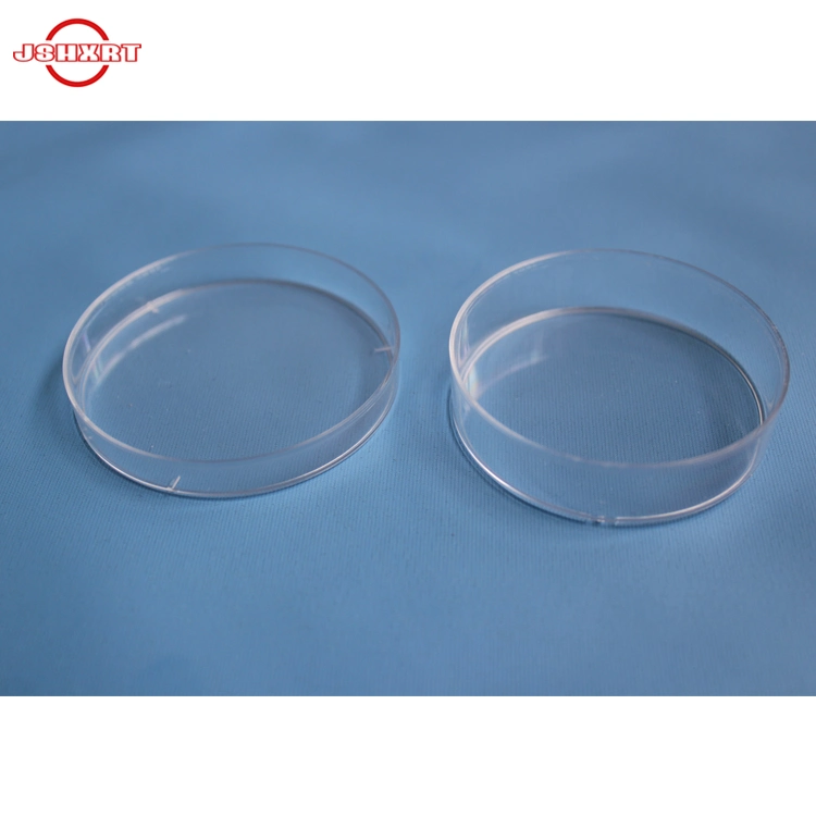 Laboratory glass transparent plastic bacteria petri dish