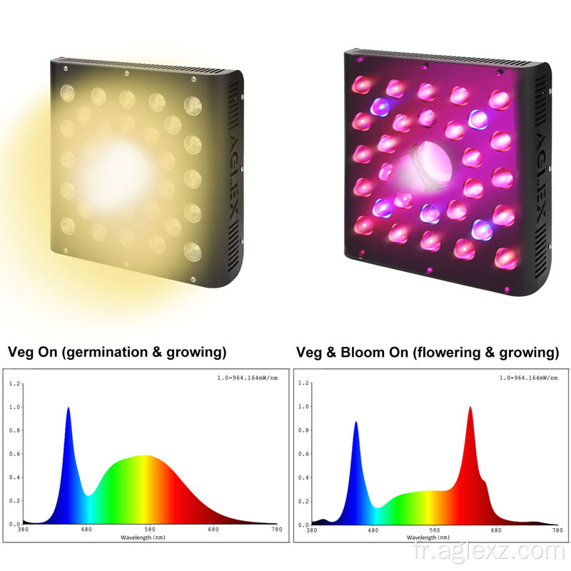 600watt LED élèvent la lumière avec interrupteur Veg Bloom