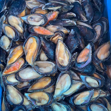 Factory Selling Frozen Cooking Shellfish Frozen Common Half Shell Mussel