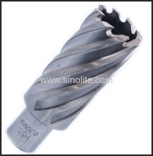 Weldon Shank Hss Hole Annular Cutter?