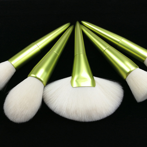 5PC Mini Travel Makeup Brush Set