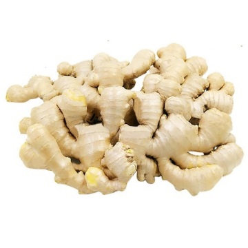 Best Quality Fresh Ginger
