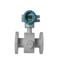 Electromagnetic Flow Meter with Scraper Electrode