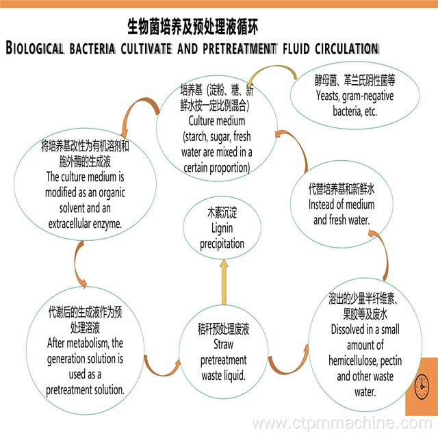 Rice Straw Pulp Making Biological Method Pulp