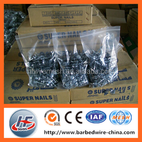 Best price and high quality roofing nails with umbrella head/metal roofing iron nail