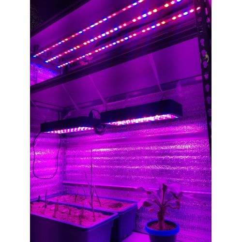 Phlizon Newest Winter Best LED Grow Light