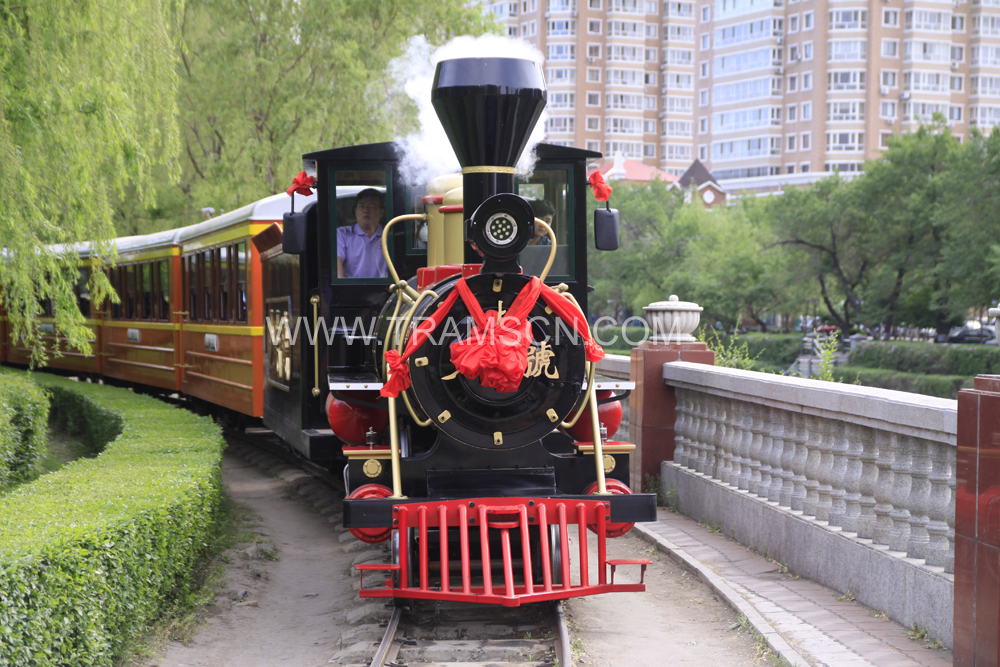 sightseeing train in park