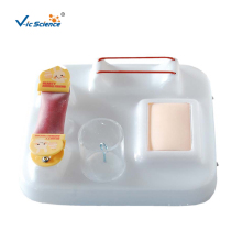 Comprehensive Surgical Skills Training Model