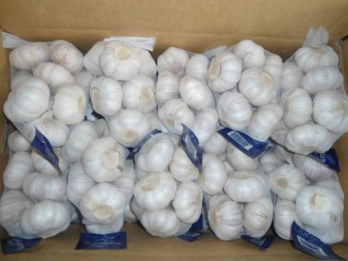 Pure White Garlic 5.5-6.0cm