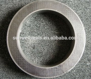 Flat Graphite gaskets/Tanged Metal Reinforced Graphite Gasket(SUNWELL)