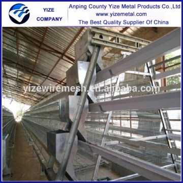 Automatic manure cleaning poultry cages for layer chickens 4 tier