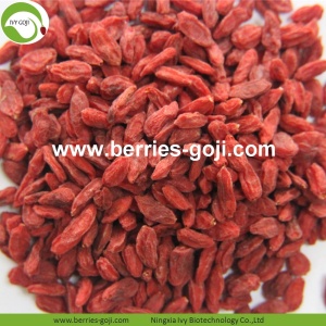 Grosir Pabrik Nutrisi Natural Ningxia Lycium