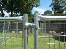 High duty welded wire mesh dog kennel